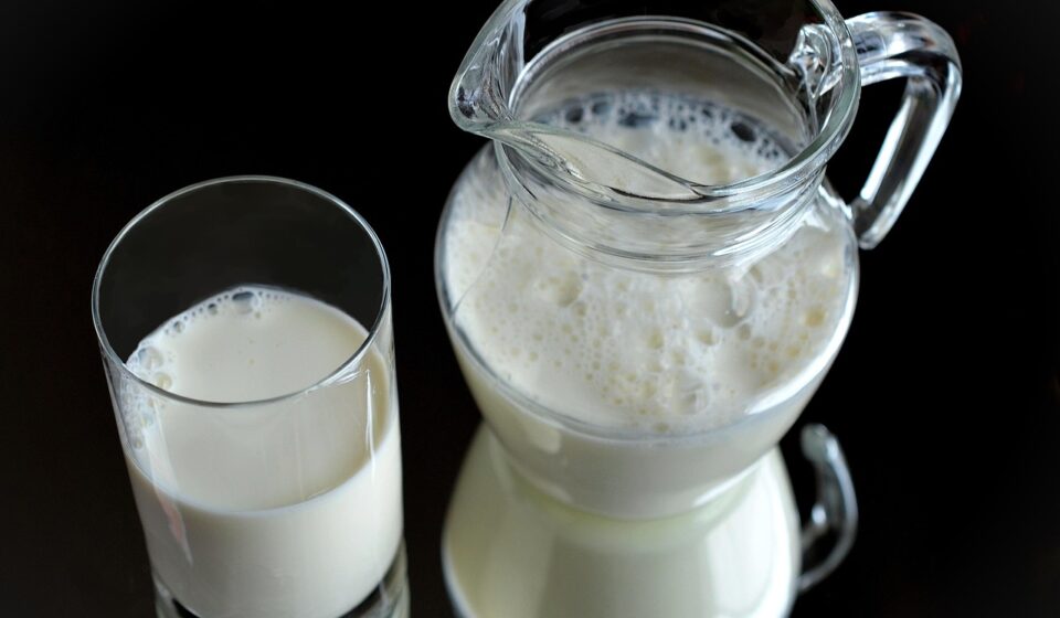 milk, glass, fresh, healthy, drink, nutritious, jug, glass jug, milk, milk, milk, milk, milk