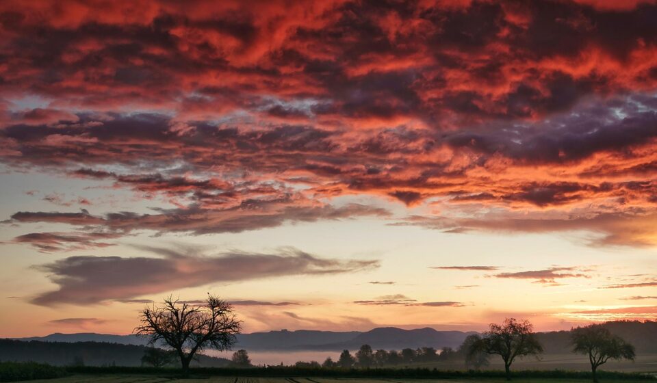 sunrise, field, trees, mystical, fog, landscape, neckar, nature, red, high neuffen, castle