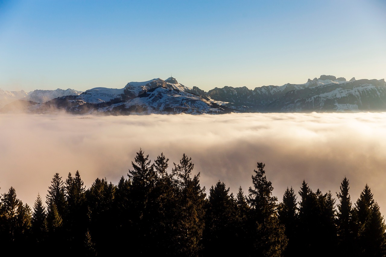 mountains, fog, trees, landscape, nature, sky, clouds, high, alpine, view, selva marine