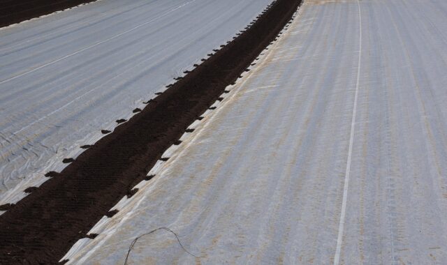 fields, field, cultivation, agriculture, plane, cover, seed, sowing, tarpaulin cover, tarpaulin, covered, protect, protective, asparagus, asparagus fields, asparagus field, asparagus cultivation, cultivate, vegetables, vegetable growing, field order