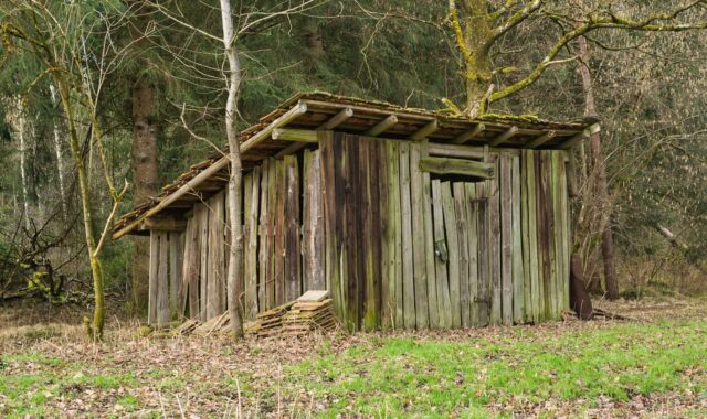 hut, wooden hut, dandruff, nature, forest, forest lodge, warehouse, storage bin, old, wood, agriculture, forestry