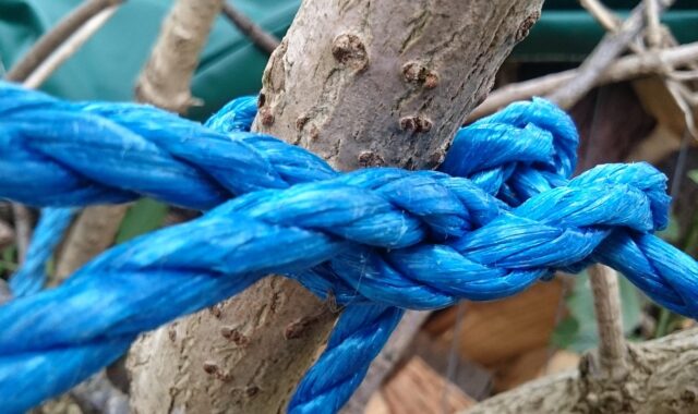 rope, texture, blue
